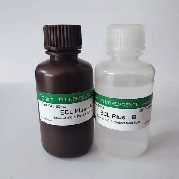 ECL Plus?高敏發(fā)光液