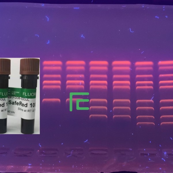 SafeRed? GelStain核酸染料(>10000x GelRed和DuRed）