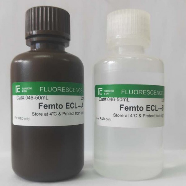 Femto ECL?特超敏發(fā)光液