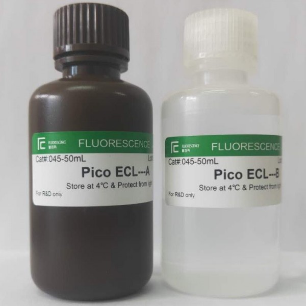 Pico ECL?超敏發(fā)光液