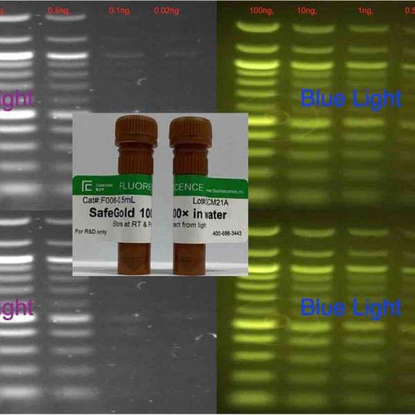 SafeGold GelStain核酸染料（~Sybr Gold）