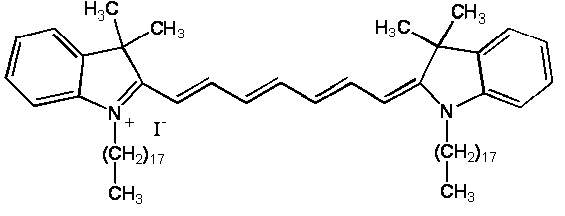 dir 結(jié)構(gòu).jpg