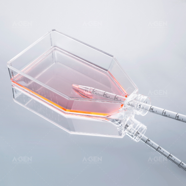175 Cm2 未處理無菌細(xì)胞培養(yǎng)瓶，帶密封蓋或透氣蓋（TC 處理可選）