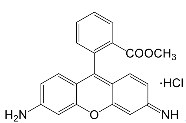 Rhodamine 123 羅丹明123