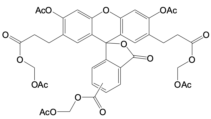 BCECF, AM  [2\',7\'-bis-(2-carboxyethyl)-5-(and-6)-carboxyfluorescein, acetoxymethyl ester]