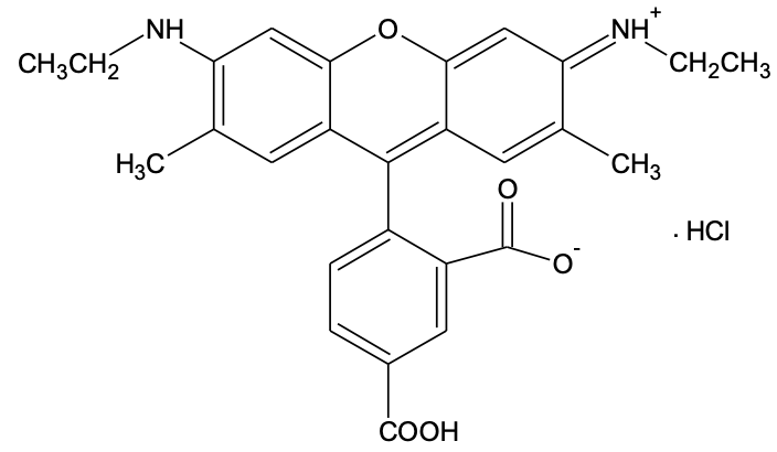 5-CR6G [5-Carboxyrhodamine 6G] *Single isomer*