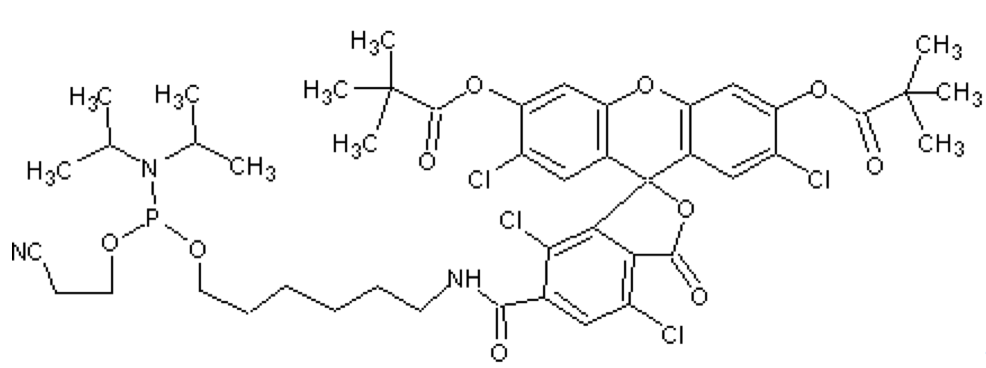 5\'-Tetrachlorofluorescein phosphoramidite