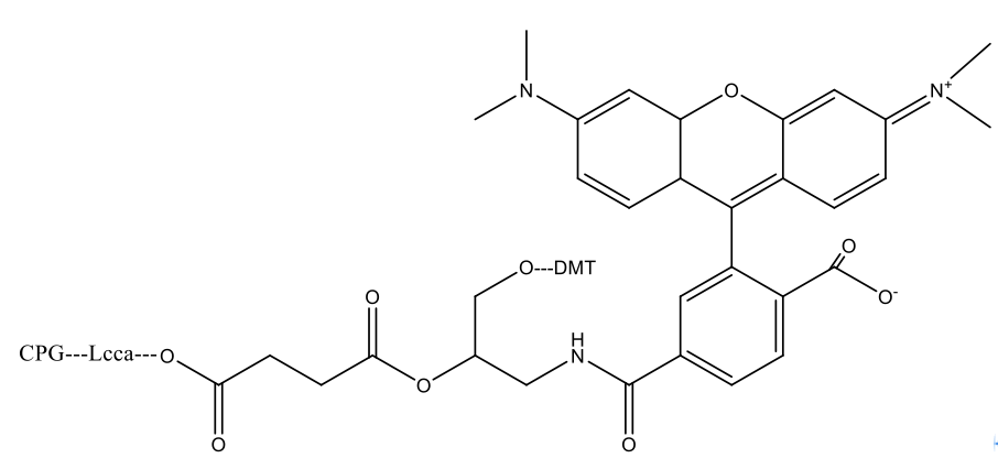 6-TAMRA CPG *1000 ?*