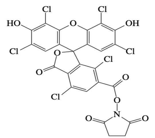 6-HEX, SE