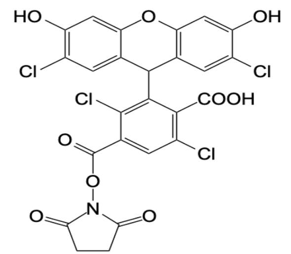 6-TET, SE