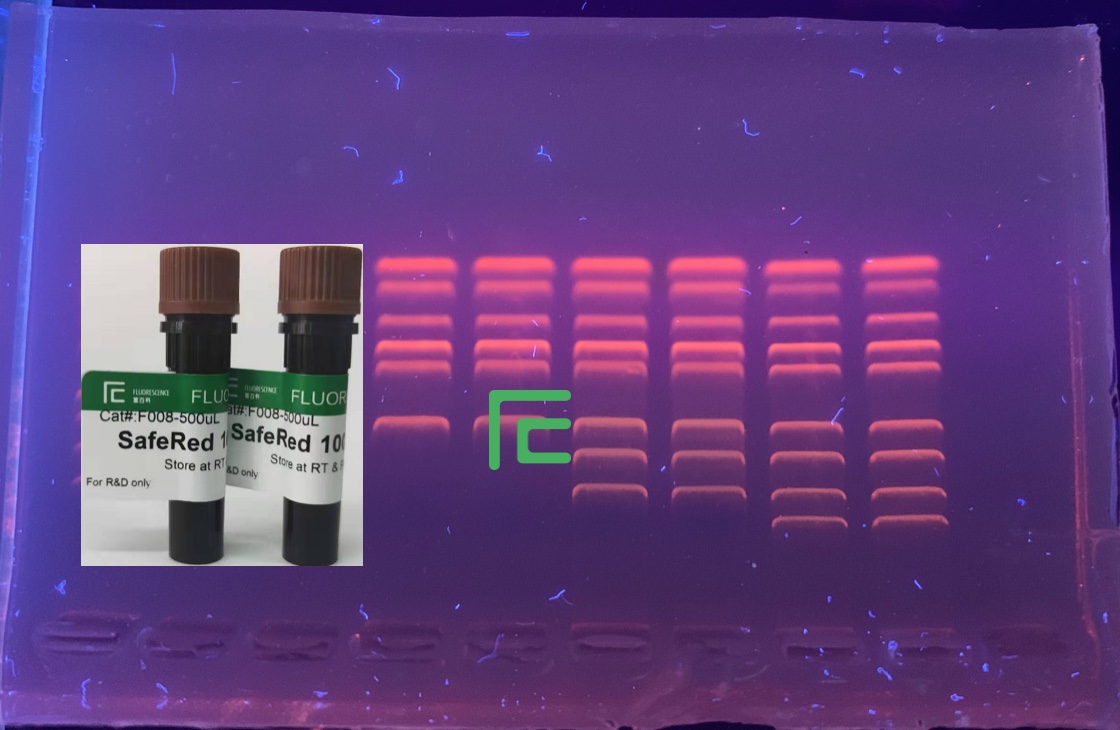 SafeRed? GelStain核酸染料(>10000x GelRed和DuRed）