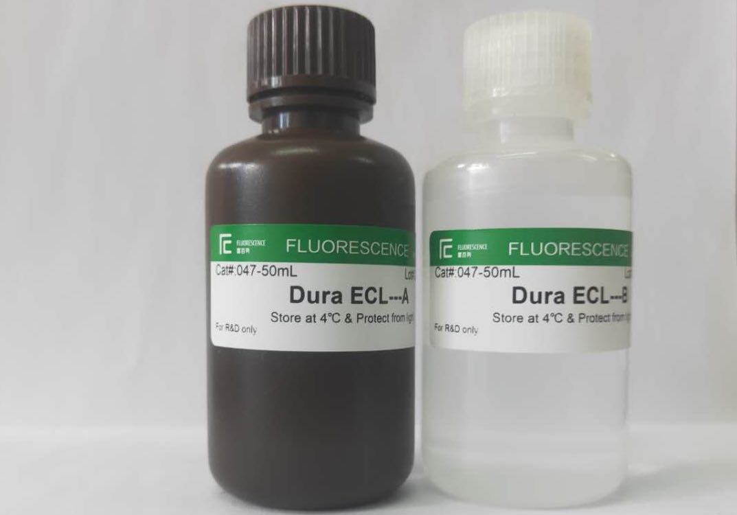 Dura ECL?特超敏發(fā)光液