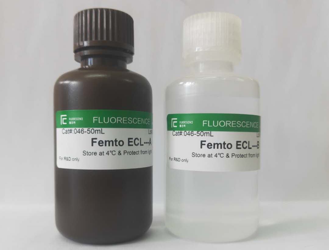 Femto ECL?特超敏發(fā)光液