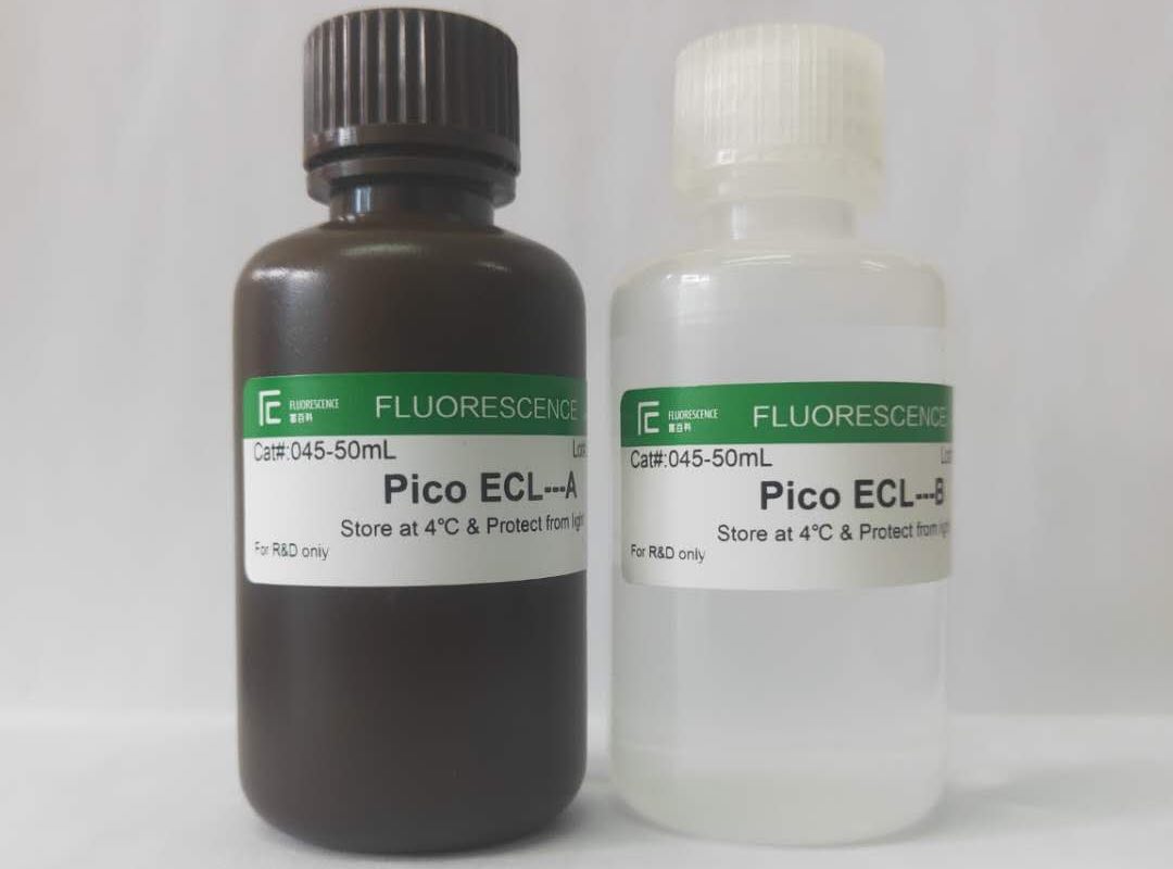 Pico ECL?超敏發(fā)光液