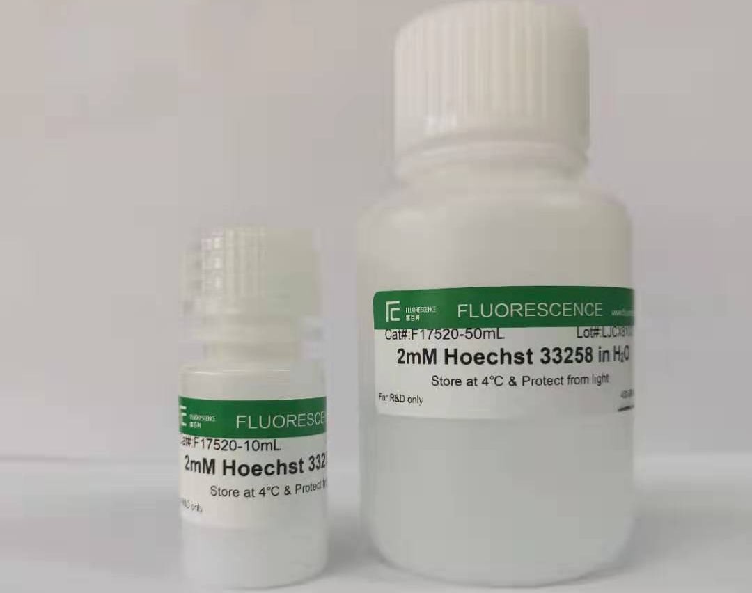 Hoechst 33258染色液，UltraPure 超純級