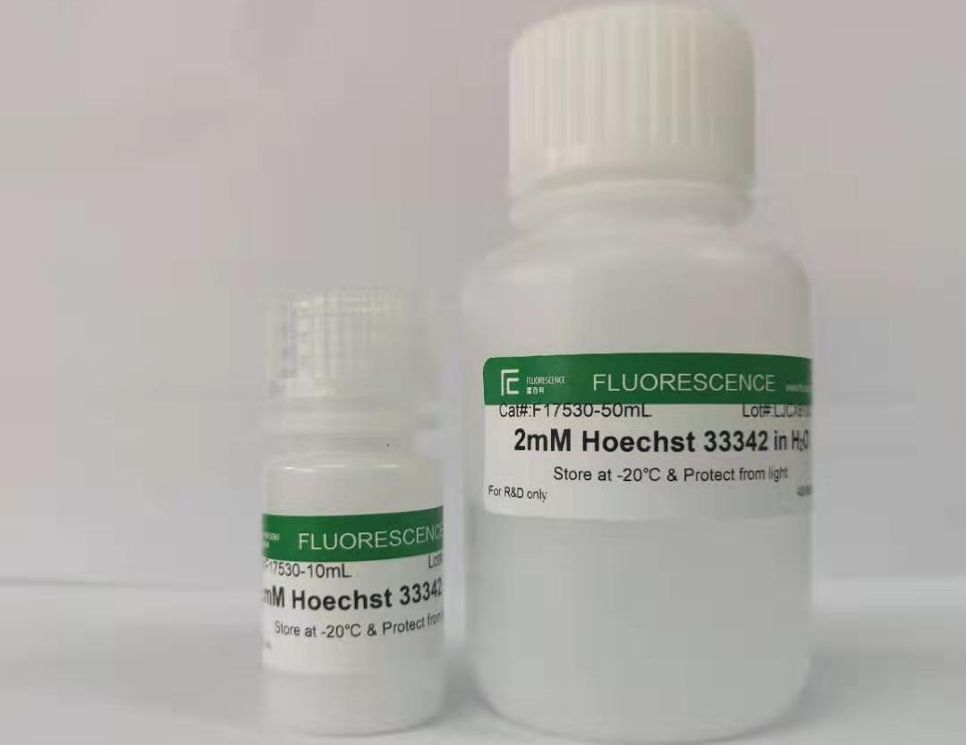 Hoechst 33342染色液，UltraPure 超純級