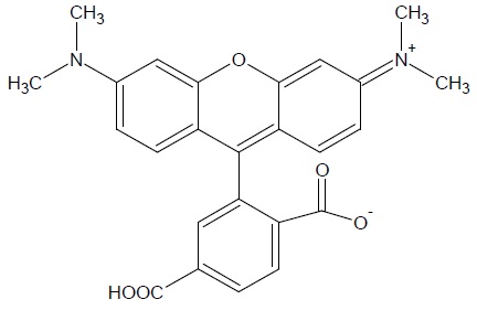 6-TAMRA