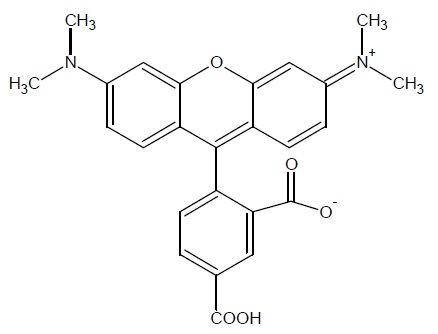 5-TAMRA