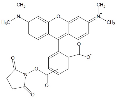 5(6)-TAMRA, SE [5-(and-6)-Carboxytetramethylrhodamine, succinimidyl ester]