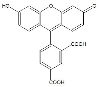 5-FAM