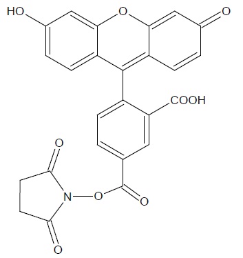 5-FAM, SE [5-Carboxyfluorescein, succinimidyl ester], FITC-NHS