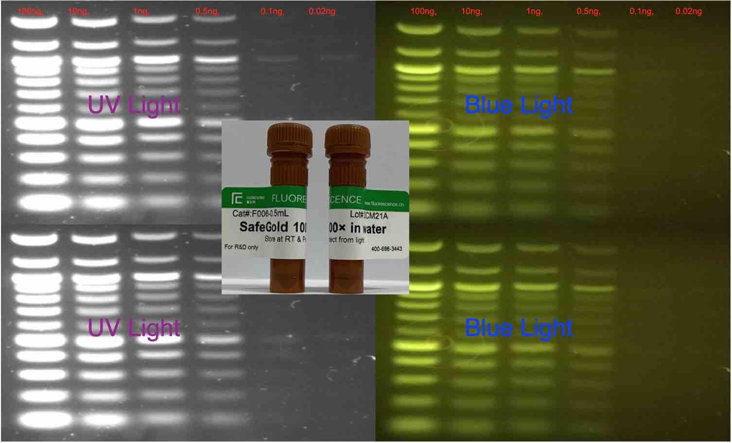 SafeGold GelStain核酸染料（~Sybr Gold）