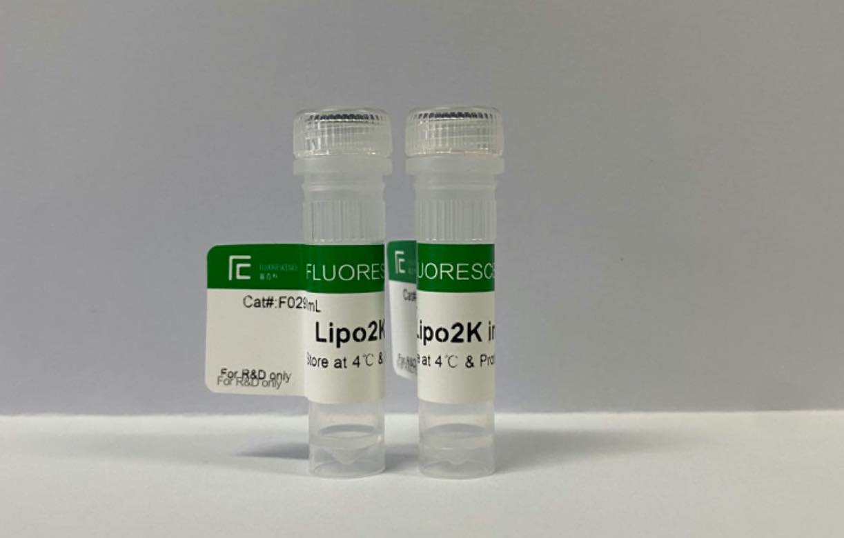 Lipo2K轉(zhuǎn)染試劑